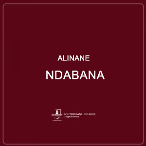 Alinane Ndabana