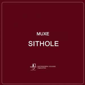 Muxe Sithole