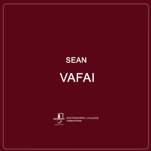 Sean Vafai